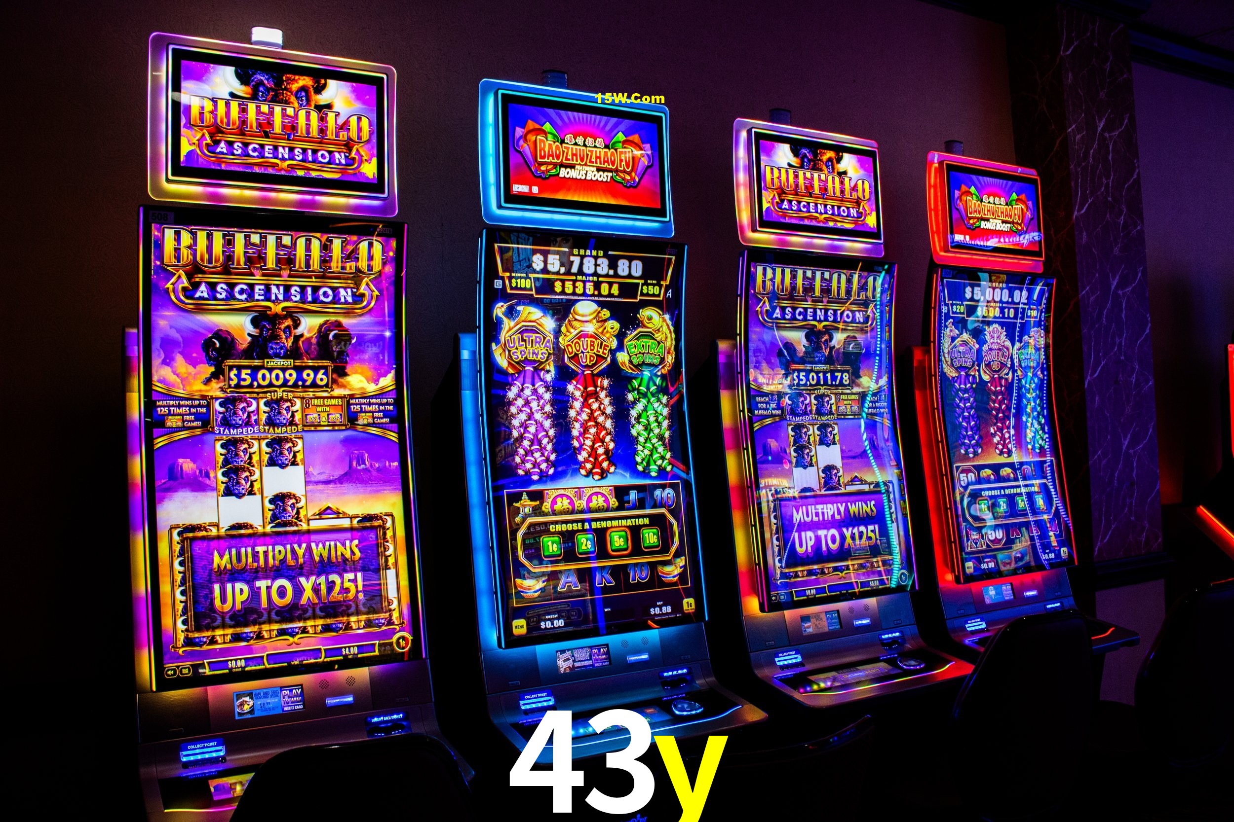 Casino VIP 43y