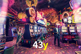 43y login